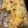 meme4's cooksnap of when they made Cheesy Chicken Broccoli & Rice Casserole.
