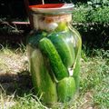 Dani Hamar Cooksnap-ja, amikor elkészítette a(z) Klasszikus kovászos uborka receptet.
