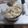 Cooksnap από ΑnGeLoS lab στη συνταγή Ταραμοσαλάτα!!!