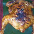 Cooksnap dari eko rudianto untuk resep Ayam bakar pedasss