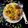 Sweetu Gudhka's cooksnap of when they made ભેળ એન્ડ ભેળપૂરી (Bhel And Bhelpuri Recipe In Gujarati).