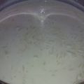 El cooksnap de karinaib cuando hizo Arroz con leche a mi estilo💖.
