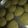 El cooksnap de Tere Ludueña cuando hizo Galletitas de maicena y kiwi.