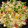 D U's cooksnap of when they made Christmas Rice.