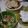 Cooksnap dari Unay untuk resep Acar Timun Wortel