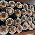 รูป Cooksnap ของ hn3vzewfu3@privaterelay.appleid.com เมื่อเขาทำ ขนมปังคีโต ขนมปังหวานคีโต ขนมปังคีโตคิง ขนมปังนุ่ม ขนมปังไร้แป้ง ขนมปังไม่อ้วน ขนมปังคีโตทำง่ายๆ