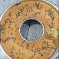 Cooksnap dari Nurdiana Din untuk resep Bolu Tepung beras, lembut n simple