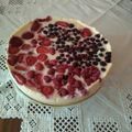 El cooksnap de vallejos cuando hizo Kuchen de fruta.