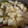 Cooksnap dari Renny Fadhilah untuk resep 729.Setup Nanas Kolang Kaling