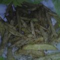 El cooksnap de Baldomiro Morales Paticu cuando hizo Papas fritas crocantes y saborizadas.