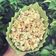 Cooksnap dari Roro Woelan untuk resep Popcorn caramel