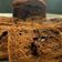 Cooksnap dari Hanni Ratnasari untuk resep Roti Tawar Choco Chip