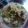 Cooksnap dari Nisya Erlita untuk resep Bakso solo