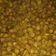 शशि केसरी का कुकस्नैप जब उन्होंने काले चने (Kale chane recipe in Hindi) बनाया था।