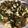 Vian Huang 的 雨來菇炒蛋 cooksnap