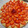 El cooksnap de Jul Min cuando hizo Masa para cualquier tarta dulce. Ejemplo tarta frutal.