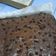 Cooksnap dari Dya Pratiwi untuk resep Shiny crust fudgy brownis (ukuran loyang 20cm) oven tangkring