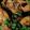 Jeremy's Kitchen 的 三杯雞Three-Cup Chicken cooksnap