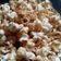 Cooksnap dari Dini untuk resep Popcorn caramel anti gagal