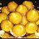 Priya vishnu Varshney का कुकस्नैप जब उन्होंने आटा बेसन लड्डू(Aata besan laddu recipe in Hindi) बनाया था।