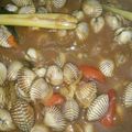 Cooksnap dari zee untuk resep Kerang Dara saus padang