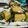 Neelu B.'s cooksnap of when they made Gujrati instant khaman dhokla.