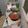 Cooksnap dari Wawan Kurniawan untuk resep Sambel goreng ati ampela