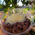 Cooksnap dari Muhamad Haer Varera untuk resep Brownies Lumer