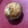 El cooksnap de Alberto Martinez cuando hizo Banana bread (pan de plátano tipo americano).