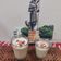 Deepa Patel 's cooksnap of when they made ઠંડાઈ (Thandai Recipe In Gujarati).