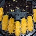 Cooksnap dari indahumam untuk resep Pukis bangka chewy