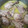 El cooksnap de María leon cuando hizo Jamoncitos de pollo en salsa.