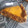 El cooksnap de Ricardo Schneider cuando hizo Empanada gallega de caballacon masa saborizada de pimentón dulce.