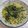 Cooksnap dari Feby.ani untuk resep Sayur Daun Ubi Tumbuk