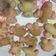 Cooksnap dari ZR’s Corner untuk resep Bolu kukus beruang dkk