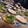 El cooksnap de paulyarias cuando hizo Pan de Hamburguesas.