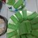 Cooksnap dari Lia Billy Dermawan untuk resep Dadar Gulung Menu Bakulan (Anti Gagal & Tips)