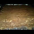 El cooksnap de Ariana Molina cuando hizo •Chocotorta• Riquísima👌.
