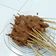 Cooksnap dari mega.ms untuk resep 125. Sate Ayam Madura (bumbu kacang)