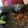 Cooksnap dari Bintang Firstania untuk resep Sambal terasi ala ipah