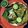 Nibedita Majumdar's cooksnap of when they made পমফ্রেট হরিয়ালী পাতুরী (pomfret hariyali paturi recipe in Bengali).