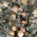 El cooksnap de Carmeta cuando hizo Espinacas con garbanzos.
