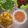 Cooksnap dari Fany Aptriani untuk resep Tahu tempe goreng bumbu kuning simple