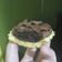 Cooksnap dari Ratna Cahyani untuk resep Pie Brownies