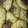 El cooksnap de Sofiamarcovesky cuando hizo Galletas de avena, manzana y chía.