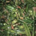 Cooksnap dari Muna Fia untuk resep Tumis Bunga Genjer Saus Tiram