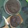 Cooksnap dari Joyce Suryadi untuk resep Brownies Labu Kuning