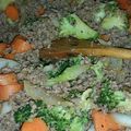 christine c's cooksnap of when they made Broccoli & Ground Beef Stir-fry.