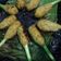 Cooksnap dari Theresia Rahardi untuk resep Sate ayam lilit khas bali #MasakanBalinustra