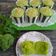Cooksnap dari Indah Mei untuk resep Muffin Pandan Keju (w.20)
